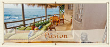 Pasion