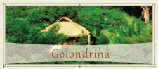 Golondrina
