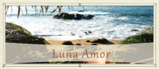 Luna Amor