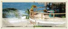 Sol 1
