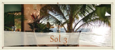 Sol 3