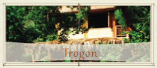 Trogon